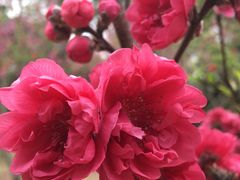 -船政文化景区-罗星塔公园