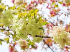 -白塘生态植物园