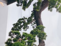 -荷塘秋月·本帮江浙菜(国权路店)