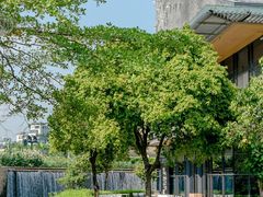 -欢乐海岸椰林沙滩-2025湾区超级灯会