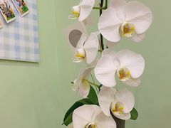 -花到家(富贵鸟花艺行)