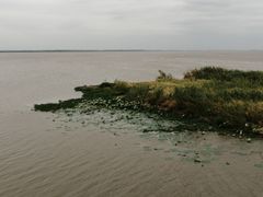 -洪湖湿地生态园
