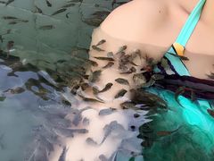 -苏州湾王焰温泉度假酒店