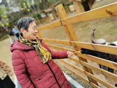 -黄龙溪欢乐田园