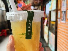 -一树一叶·福建茶档(石鼓路店)