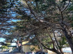 -香港东海海鲜酒家