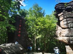 -汤旺河林海奇石景区