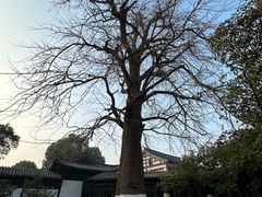 -常熟方塔园