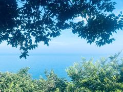-棒棰岛宾馆景区