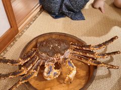 帝皇蟹-蟹田居·活蟹料理(东城店)