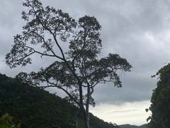 -海南热带雨林国家公园吊罗山景区