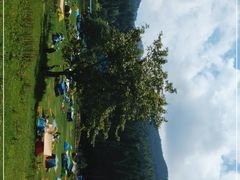 -武陵山森林公园