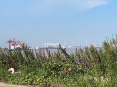-平湖九龙山旅游度假区