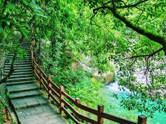 -广州白江湖森林公园