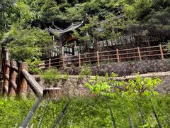 -莫干山风景区