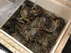 -岳各庄批发市场(西四环中路店)