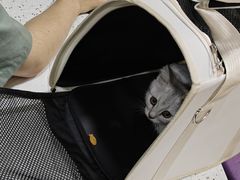 -宠爱国际动物医院·消化内科·心肾内科·ISFM猫友好(望京店)