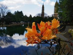 -崇圣寺三塔文化旅游区