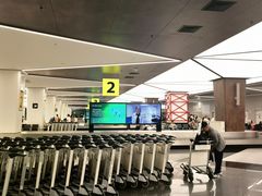 -谢列梅捷沃国际机场