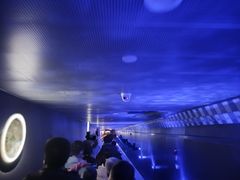 -白鹤梁水下博物馆