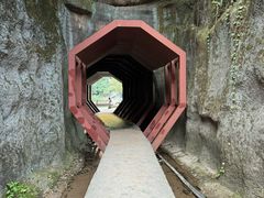 -武夷山风景名胜区-玉女峰