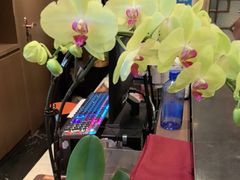 -顺峰(农展馆店)