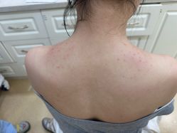 -上海首尔丽格医疗美容医院