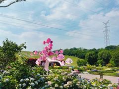 -紫金山山顶公园