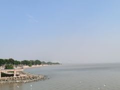 -深圳湾公园(南山区)