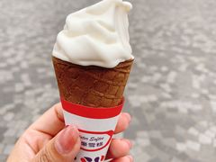-富豪雪糕车流动点(尖沙咀店)