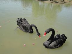 DSC04038-中国药科大学（江宁校区）综合门诊部