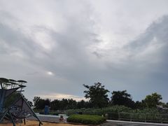 -上海山野camping·户外天幕烧烤·团建拓展营地