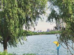 -天鹅湖体育公园