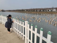 -米果果小镇