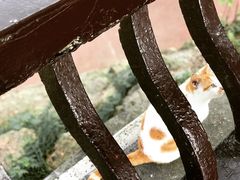 -敬亭山风景名胜区