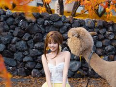 -Blue Concept Cafe&Farm·關於藍