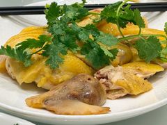 湛江鸡-金苑海鲜酒家(新港中路店)