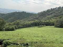 -敬亭山风景名胜区
