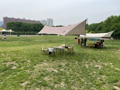 -泰丰公园