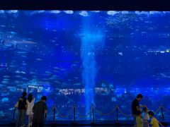 -成都浩海立方海洋公园