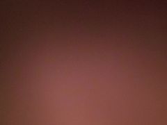 -禅猫日本料理