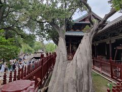 -晋祠公园