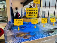 -后湖小院·乡野田园菜