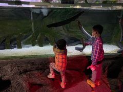 -蓬莱欧乐堡海洋极地世界