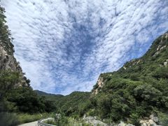 -阳台山自然风景区