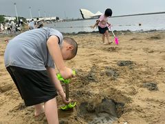 -碧海金沙