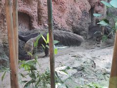 -长鹿旅游休博园