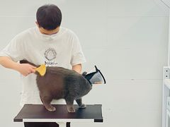 -comecome来吧宠物(奥克斯中心店)