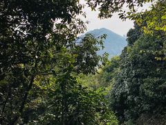 -杭州半山国家森林公园