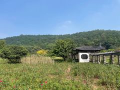 -龙寺生态园